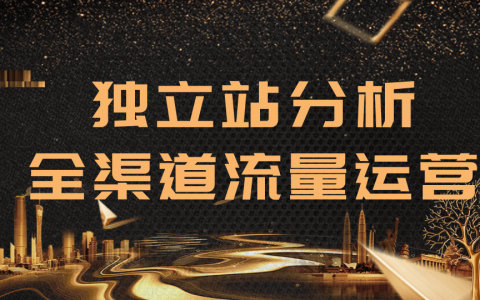 2020跨境电商未来出路，独立站精细化流量运营，手把手教你分析一个网站